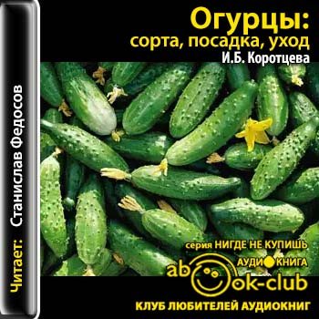 Огурцы: сорта, посадка, уход