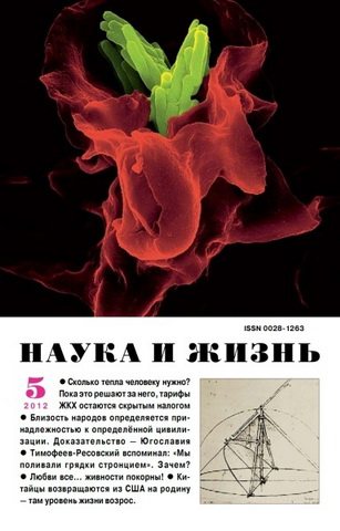 Наука и жизнь №5