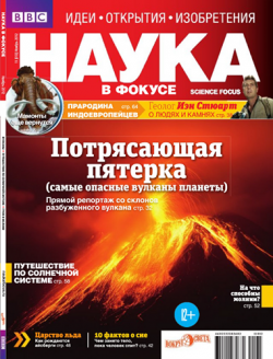 Наука в фокусе №11