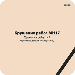 Крушение рейса МН17. Хроника событий